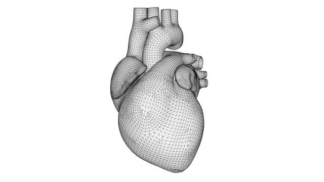 白色3D线框心脏跳动。白色背景上的多边形人类心脏视频素材