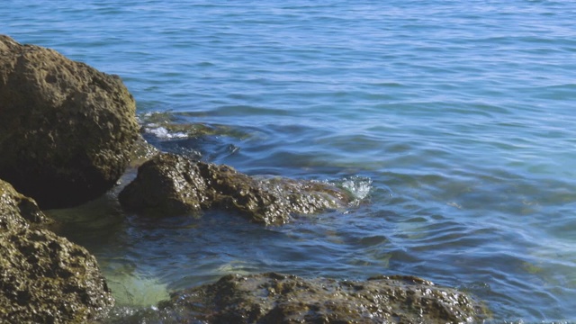 近距离观看可爱的海鸥站在岩石上，蓝色的海水为背景。视频素材