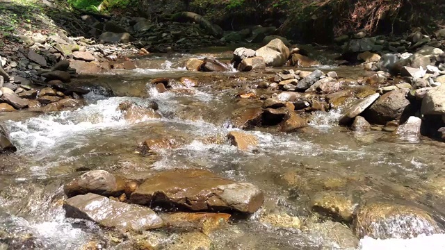 山河在乌克兰喀尔巴阡附近流淌着绿色的森林，是一条湍急的山河视频下载