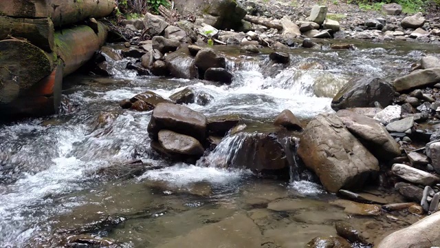 山河在乌克兰喀尔巴阡附近流淌着绿色的森林，是一条湍急的山河视频素材