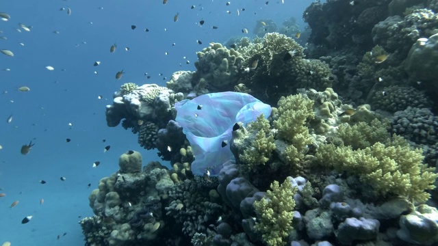 慢镜头，海洋中的塑料污染:塑料袋漂浮在美丽的珊瑚礁旁边，与一群热带鱼在蓝色的水中。塑料垃圾环境污染问题视频素材