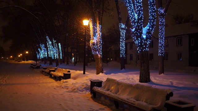 下雪的夜晚。视频素材