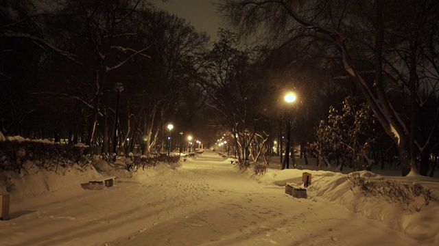 下雪的夜晚。视频素材