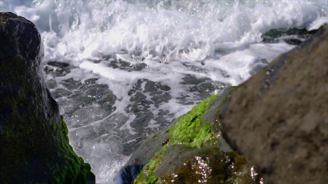 近景，海浪，海边长满海藻的石头，慢镜头视频素材