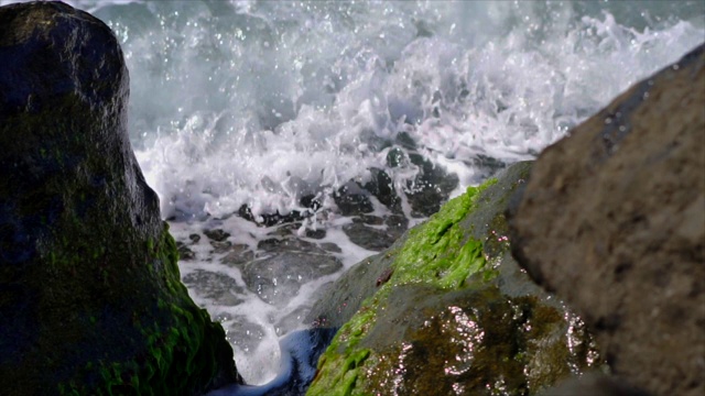 近景，海浪，海边长满海藻的石头，慢镜头视频素材