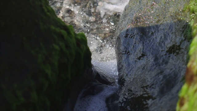 近景，海浪，海边长满海藻的石头，慢镜头视频素材