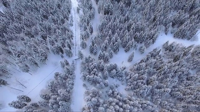 鸟瞰图森林在寒冷的冬天被雪覆盖视频素材