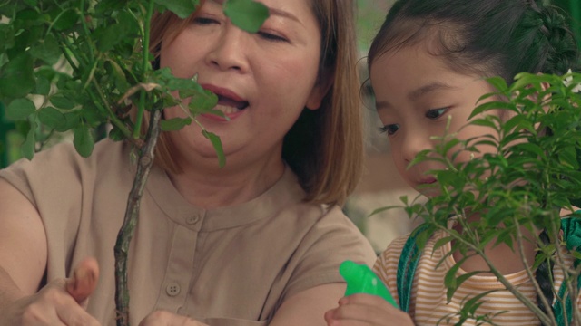 照顾她的花园视频素材