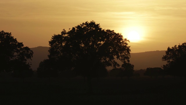 Timelapses sunrise Cabañeros National Park视频下载