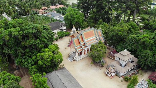 经典佛寺之间的森林。从上面鸟瞰泰国山上绿树间的经典佛教寺院。苏梅岛。旅游、冥想、东方生活的理念视频素材