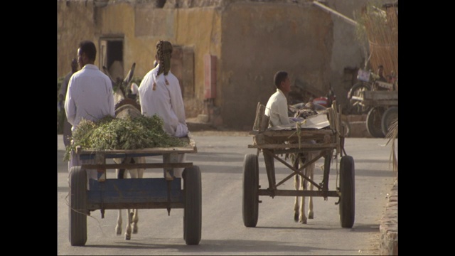 驴子拉着装满人的大车沿着繁忙的乡村道路行进。视频素材