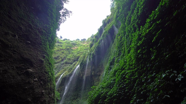 马达卡里普拉瀑布在国家公园。爪哇岛最高的瀑布。印尼旅游度假的自然景观背景。旅游景点。视频素材