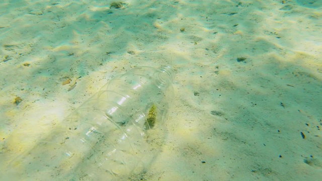 一只小螃蟹被困在一个塑料瓶里，慢慢地漂浮在海水里。视频素材