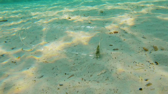 小螃蟹被困在一个塑料瓶里，慢慢地漂浮在海水中。视频素材