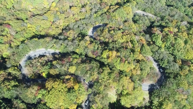 汽车在日本弯弯曲曲的山路上飞行视频素材