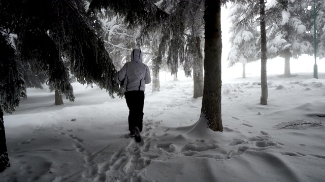 平移拍摄的冬季全景与雪覆盖的树木和雾视频素材