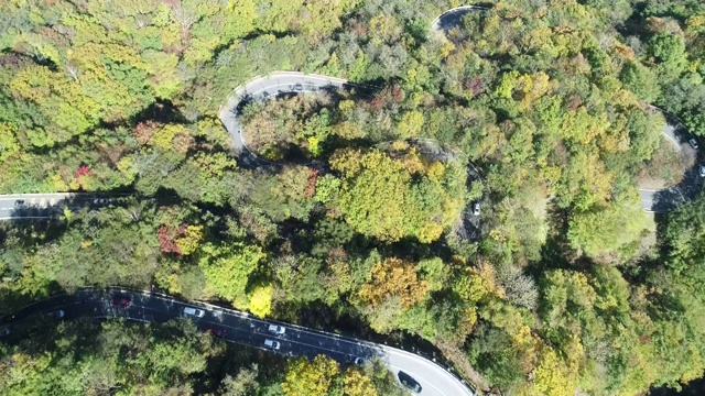 青葱的山路在日本，架空视频素材