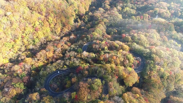 航空，弯曲的山路在日本山区视频素材