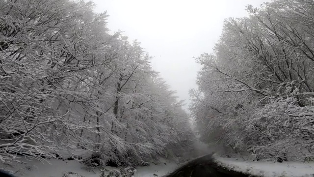 POV在冬天行驶在下雪的乡村道路上，天气恶劣，能见度低，有雾视频素材