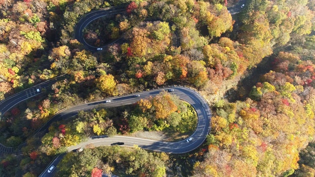 汽车在日本的山路上行驶在秋天，高角度的高空视频素材