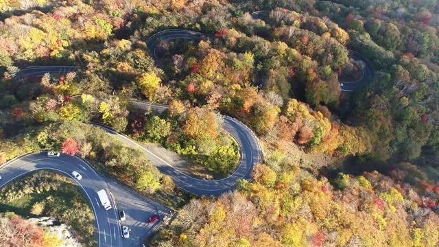 汽车在秋天的山路上行驶，高角度架空视频素材