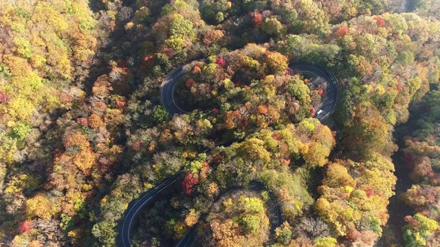 26、高角架空，五彩秋山路视频素材