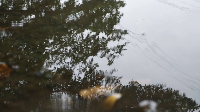 水坑里的雨滴视频素材