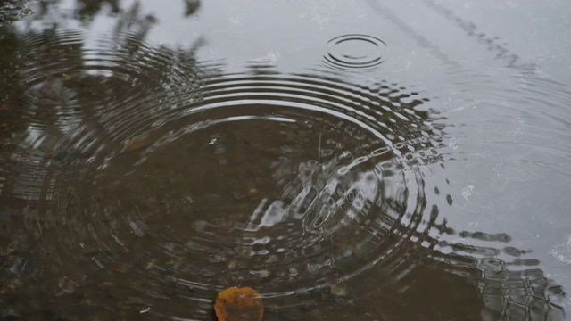 水坑里的雨滴视频素材