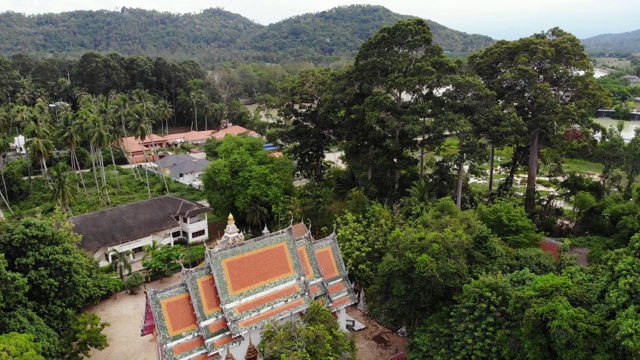 经典佛寺之间的森林。从上面鸟瞰泰国山上绿树间的经典佛教寺院。苏梅岛。旅游、冥想、东方生活的理念视频素材