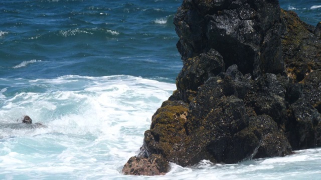 海浪撞击夏威夷熔岩岩层的特写视频素材