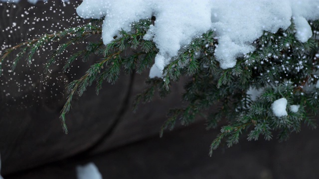 圣诞快乐与移动雪花闪烁的视频，银色调节日视频介绍在自然背景视频素材