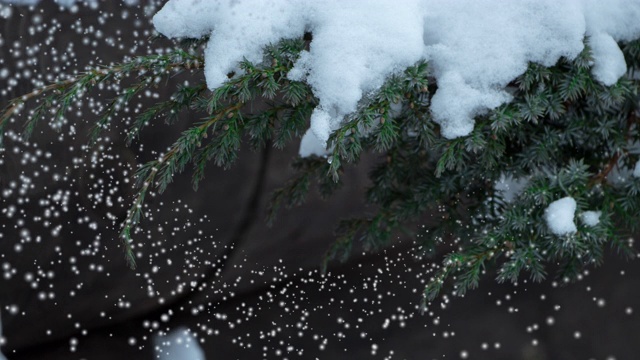 圣诞快乐，新年与移动雪花闪烁的视频，银色色调的节日视频介绍在自然背景-假日视频背景为您的设计视频下载