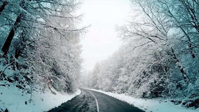 在冬季大雾天气下行驶在乡村的山路上，路上的树木被雪覆盖视频素材