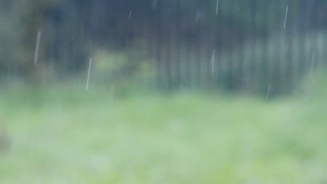 自然背景下的暴雨。雨滴落下视频素材