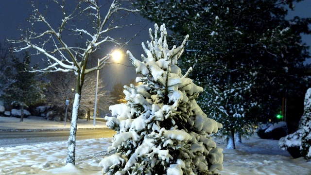 夜晚冬天的大雪覆盖了居民区的树木和汽车在下雪的夜晚在小城镇视频素材