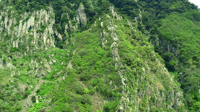 三班山/西浦悬崖上的植物，济州岛，韩国视频素材