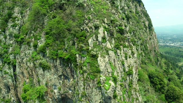 三班山/西浦悬崖上的植物，济州岛，韩国视频素材