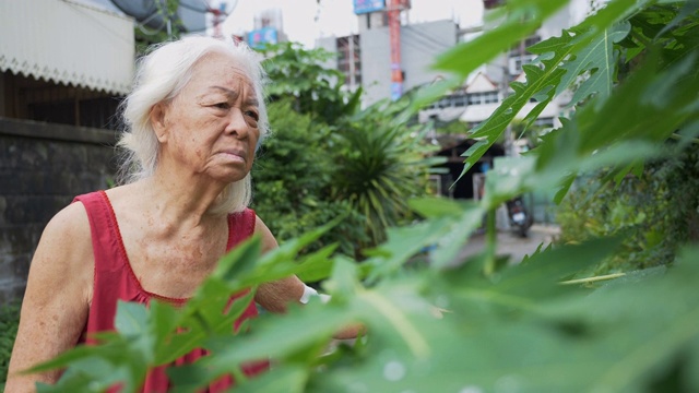 快乐的亚洲资深女性肖像。视频素材