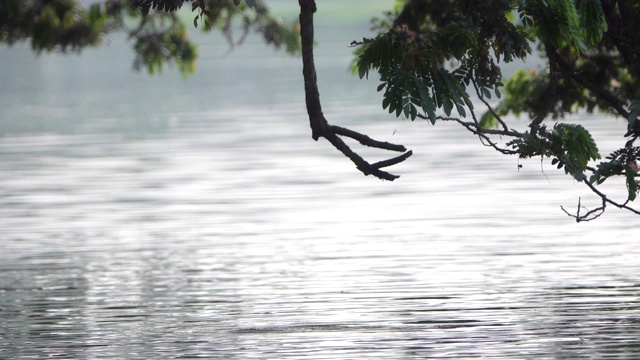 平静的湖视频素材