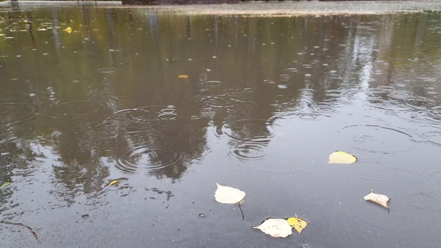 秋日，雨点落进水坑里视频素材