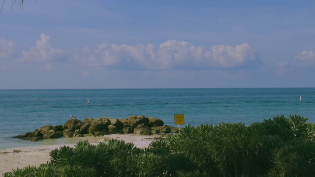 无边无际的大西洋美景。可爱的海鸥站在礁石上，周围是蓝色的海水，背景是浅蓝色的天空。视频素材