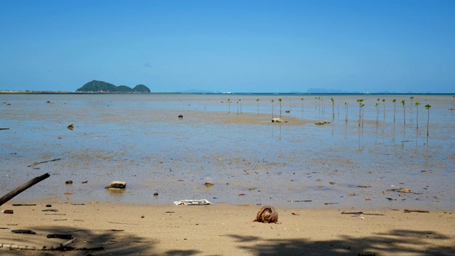 泰国帕岸岛的退潮海滩视频素材