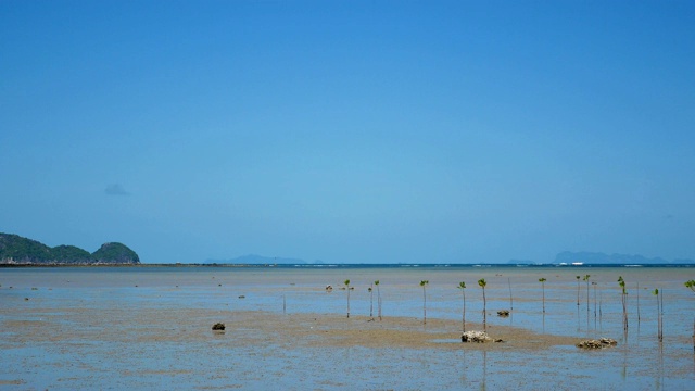 泰国帕岸岛的退潮海滩视频素材