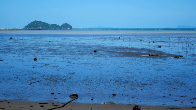 泰国帕岸岛的退潮海滩视频素材