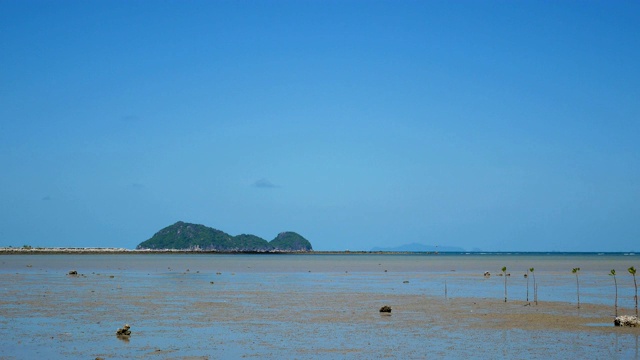 泰国帕岸岛的退潮海滩视频素材