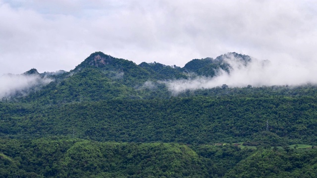 国家公园的山与雾在雨季的风景视频素材