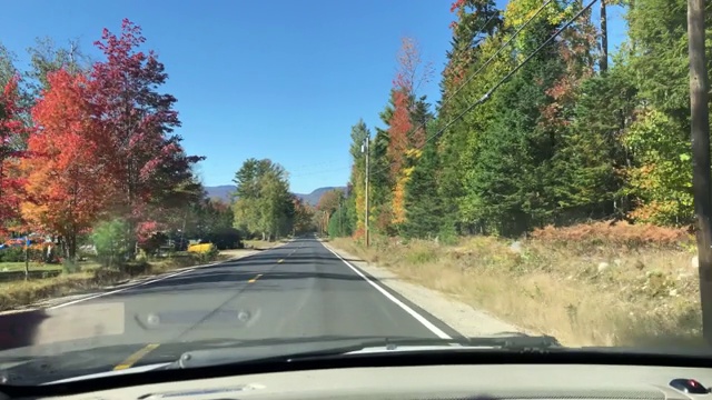 在美国缅因州兰吉利附近的道路上，在秋天，树木成行视频素材