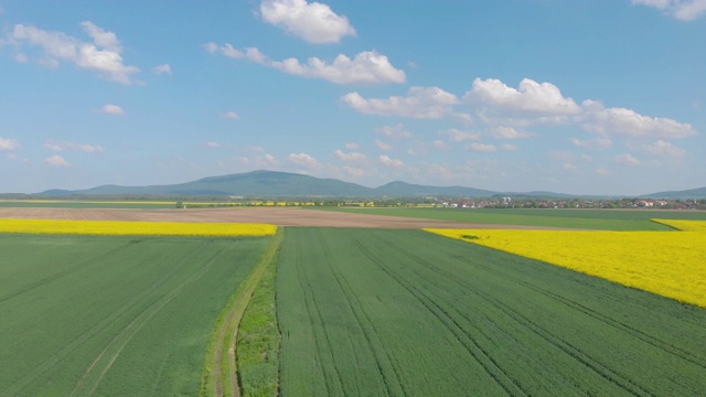 一种黄色油菜籽的乡村景观(空中)视频素材