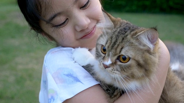 慢动作的可爱的亚洲女孩玩她的波斯猫在公园视频素材