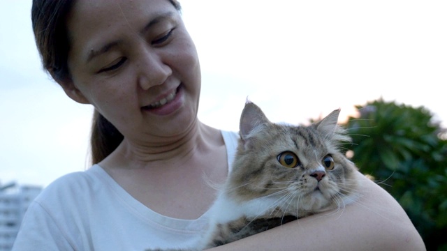 一名年轻的亚洲女子在公园里和她的波斯猫玩耍视频素材